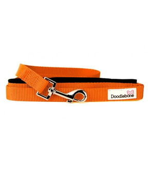 Doodlebone Bold Range Padded Lead - Orange