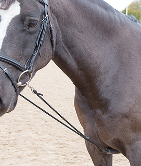 Shires Soft Lunge Aid