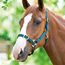 Shires Adjustable Headcollar in Green