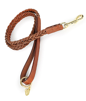 Plaited Dog Lead