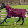 Horseware Amigo Hero Ripstop 600 Med Turnout