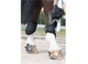 LeMieux Derby ProJump Fetlock Boots Black