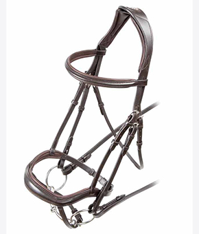 Shires Velociti Ergonomic Flash Bridle