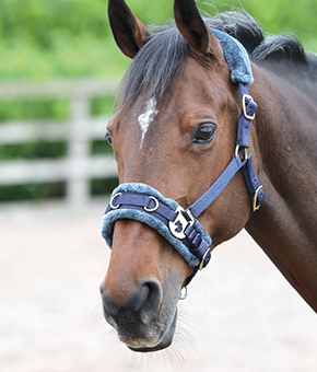 Shires Fleece Lined Lunge Cavesson