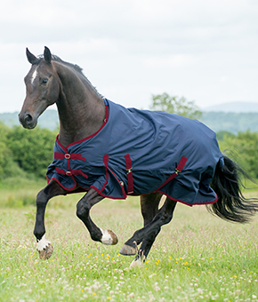 Gallop Trojan 50g Standard Neck Turnout Rug