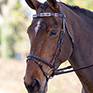 Shires Blenheim Leather Polo Browband Pink/Natural/Navy