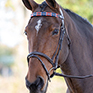 Shires Blenheim Leather Polo Browband Red/Navy