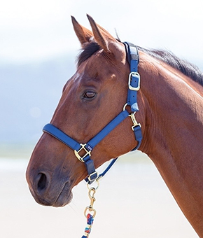 Shires Topaz Nylon Headcollar - Navy