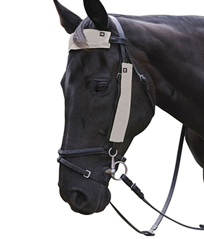 Hy Equestrian Silva Flash Reflective Bridle Set