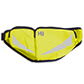 HyVIZ Reflector Bum Bag