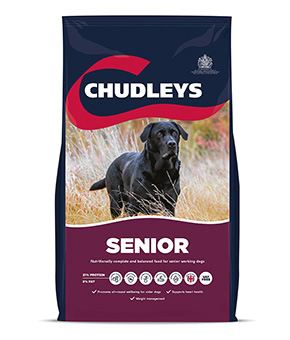 Chudleys Senior