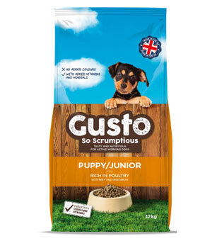 Gusto Puppy