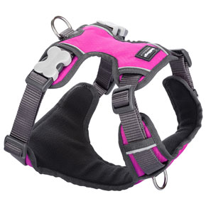 Red Dingo Padded Harness For Dogs - Hot Pink