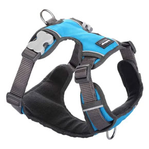 Red Dingo Padded Harness for Dogs - Turquoise