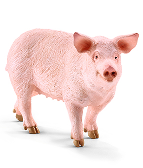 Schleich Pig