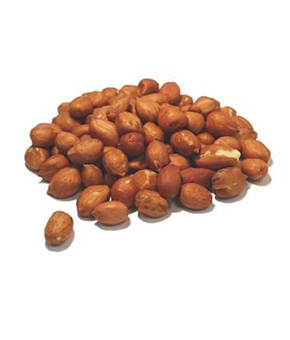 Brinvale Jumbo Peanuts for Birds