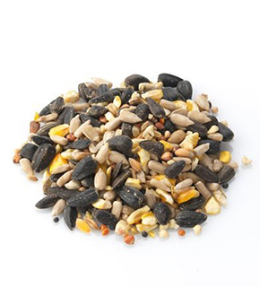 Brinvale All Seasons - Premium Wild Bird Food