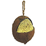 Brinvale Whole Coconut Bird Feeder