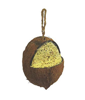 Brinvale Whole Coconut Bird Feeder