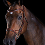 Collegiate Comfitec Training Bridle Brown