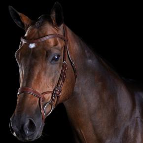 Collegiate Comfitec Training Bridle Brown