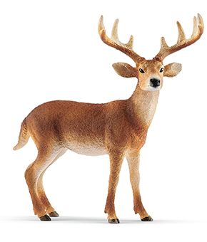 Schleich White-tailed Buck