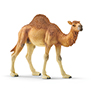 Schleich Dromedary