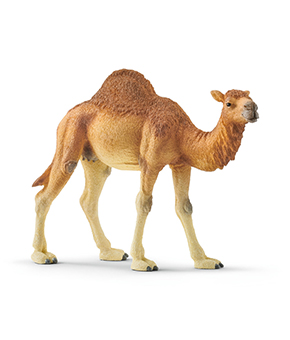 Schleich Dromedary