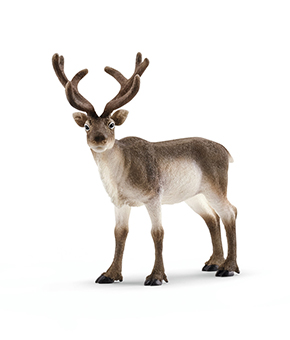 Schleich Reindeer