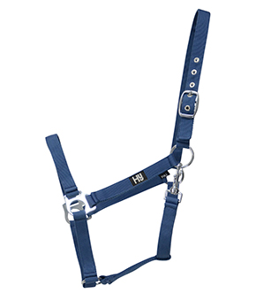 Hy Economy Plus Headcollar Kingfisher Blue