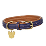 Padded Leather Dog Collar