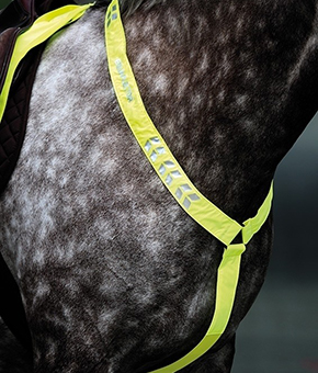 Shires EQUI-FLECTOR Breastplate - Yellow