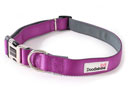 Doodlebone Bold Padded Collar - Purple