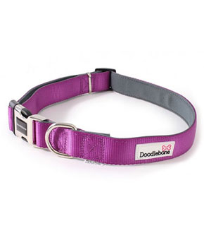 Doodlebone Bold Padded Collar - Purple