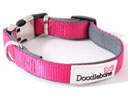 Doodlebone Bold Range Collar - Pink