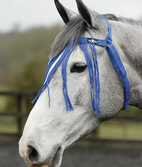 Saxon Fly Fringe - Blue