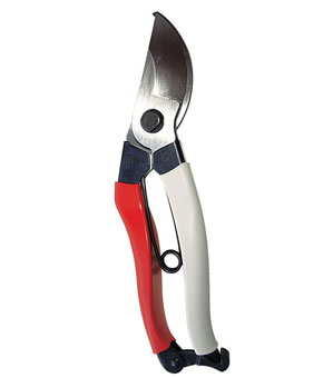 Silky Pruning Secateurs 104