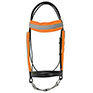 HyVIZ Reflector Bridle Band Set Orange