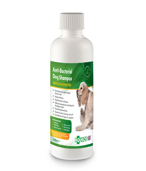 Aqueos Anti-bacterial Dog Shampoo