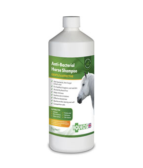 Aqueos Anti-bacterial Horse Shampoo