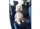 Pet Rebellion Car Seat Carpet