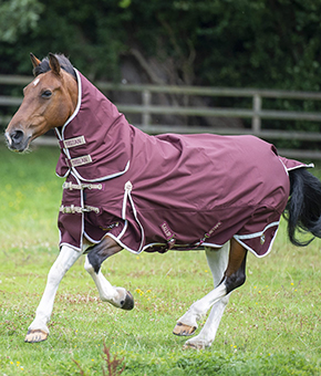 Gallop Trojan Xtra 100g Combo Turnout rug