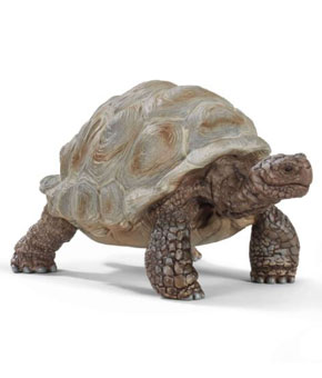 Schleich Giant Tortoise