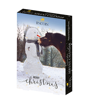 Lincoln Snowman Advent Calendar