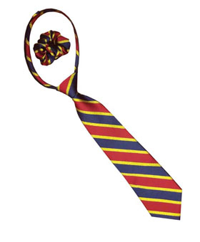 Equetech Lurex Stripe Zipper Tie - Navy/Red/Gold