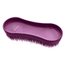 HySHINE Miracle Brush - Port Royal