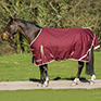 Gallop Trojan Xtra 100g Standard Neck Turnout