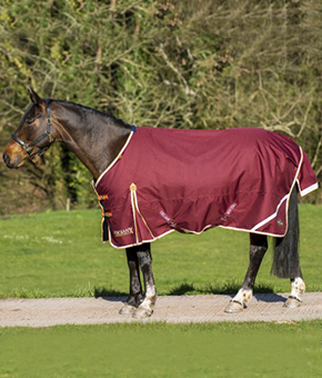 Gallop Trojan Xtra 100g Standard Neck Turnout