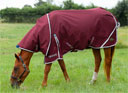 Gallop Trojan Xtra Lite Standard Neck Turnout