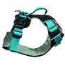 Sotnos Travel Safety & Walking Harness